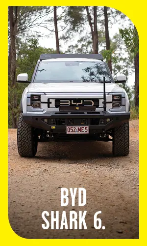 BYD Shark 6